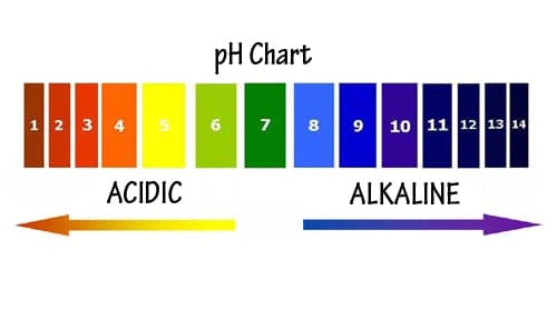 Ph Chart Image